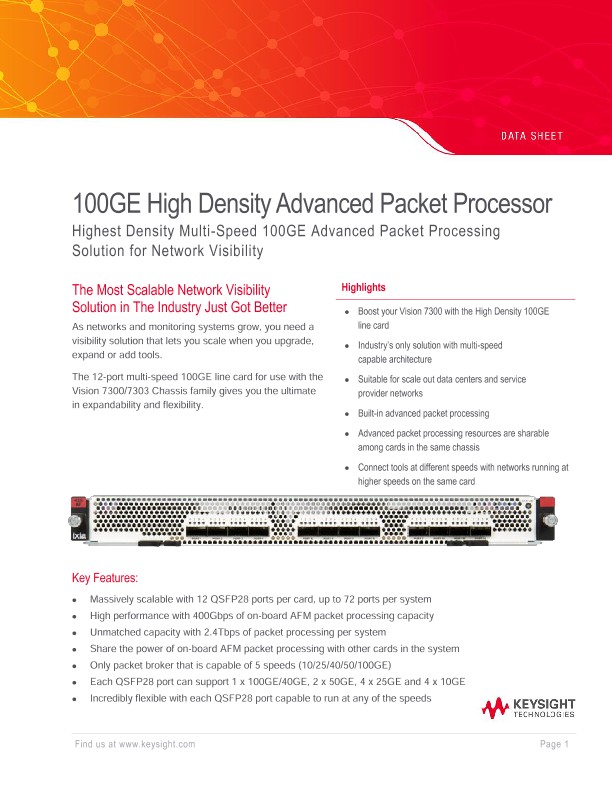 100GE High Density Advanced Packet Processor