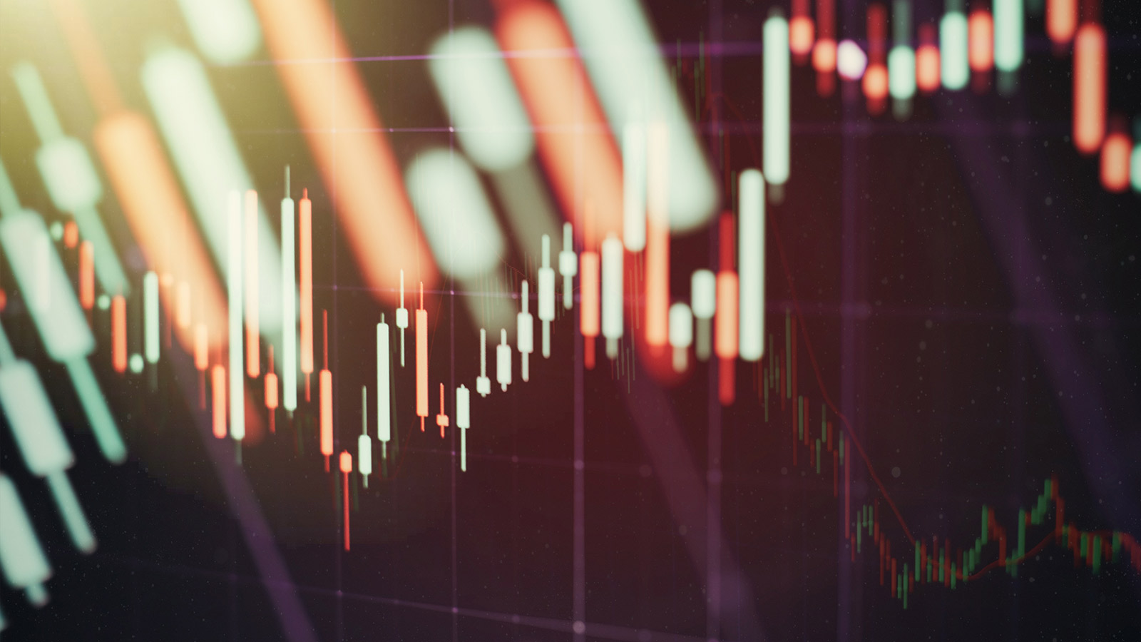 Investor Relations