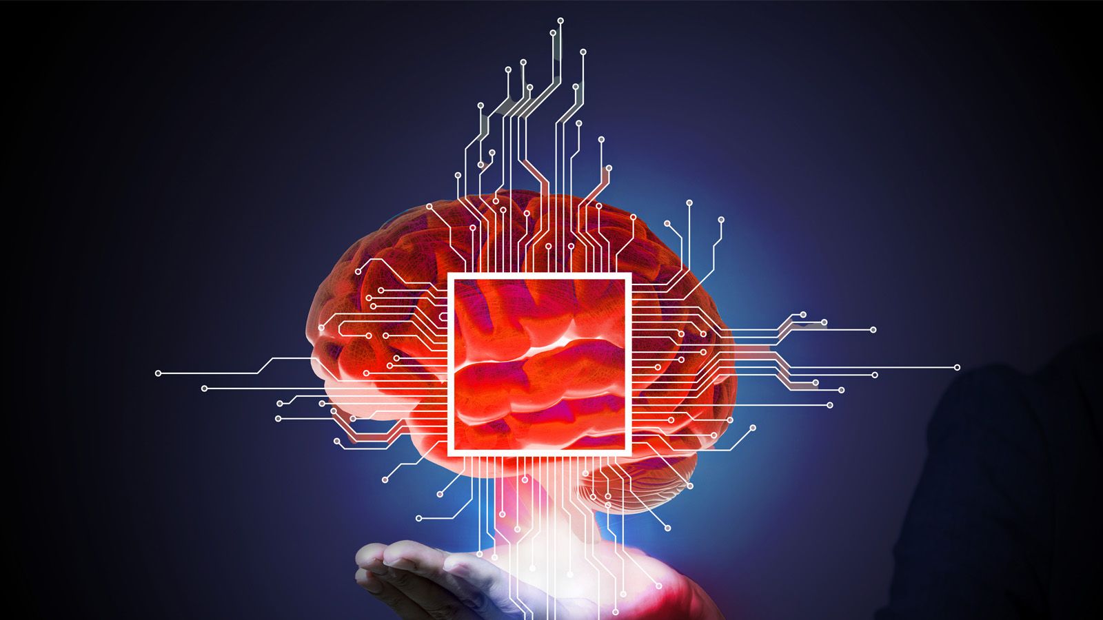 AI Networks